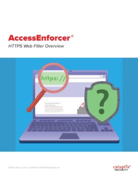 AccessEnforcer HTTPS Web Filter Overview