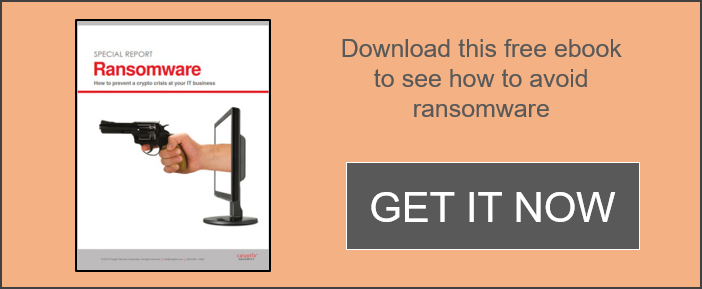 how-to-avoid-ransomware-report-CTA